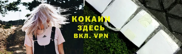 твердый Магадан