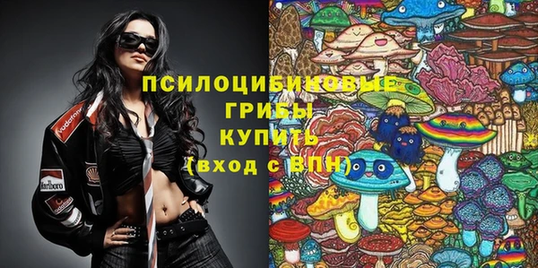 твердый Магадан